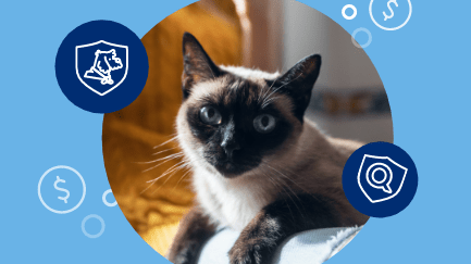 Unexpected Illnesses and Accidents Can Happen.