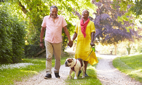 Man and woman walking their bulldog down a path.