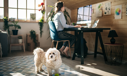 Work From Home Learning Hub Small Template